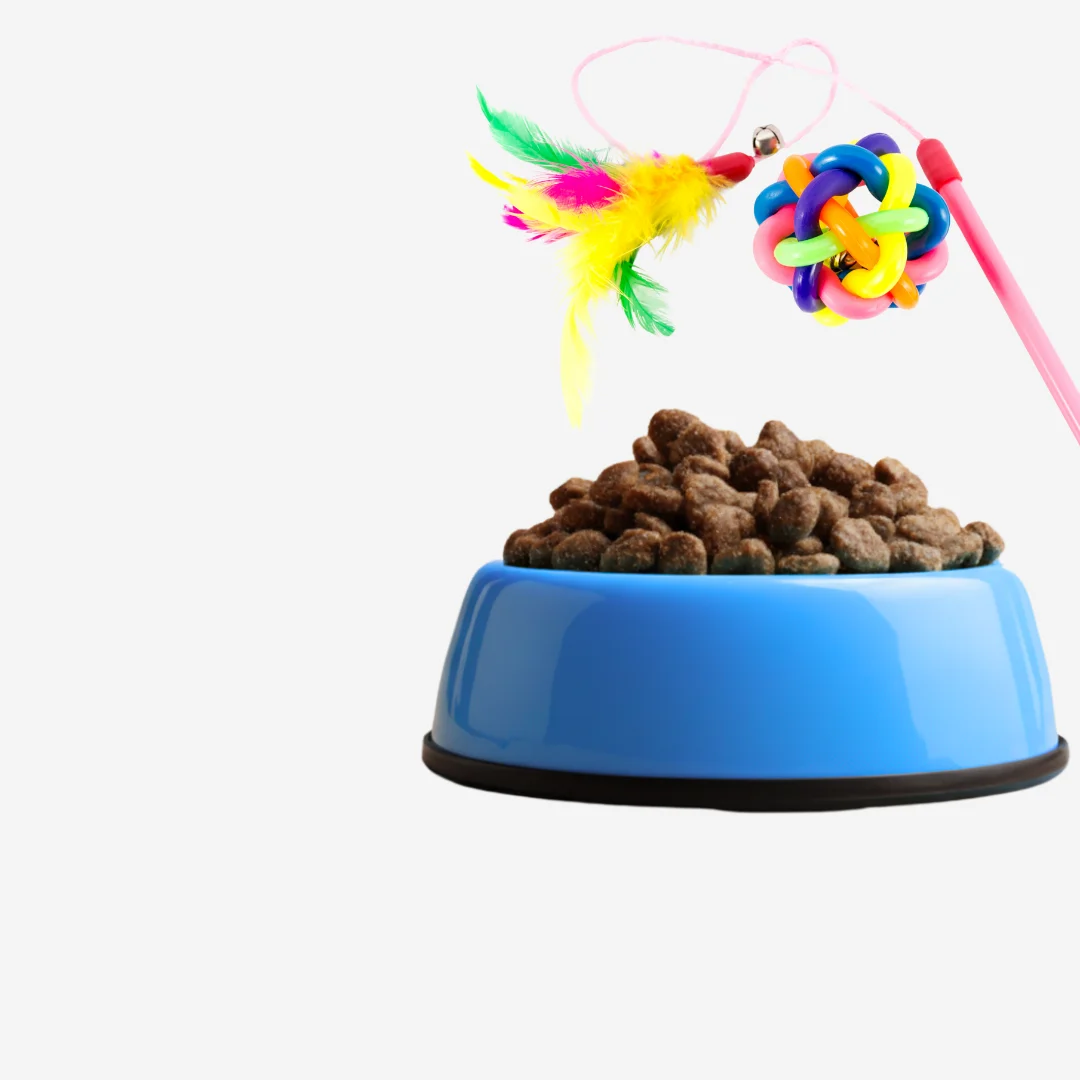 МОЙ ПИТОМЕЦ