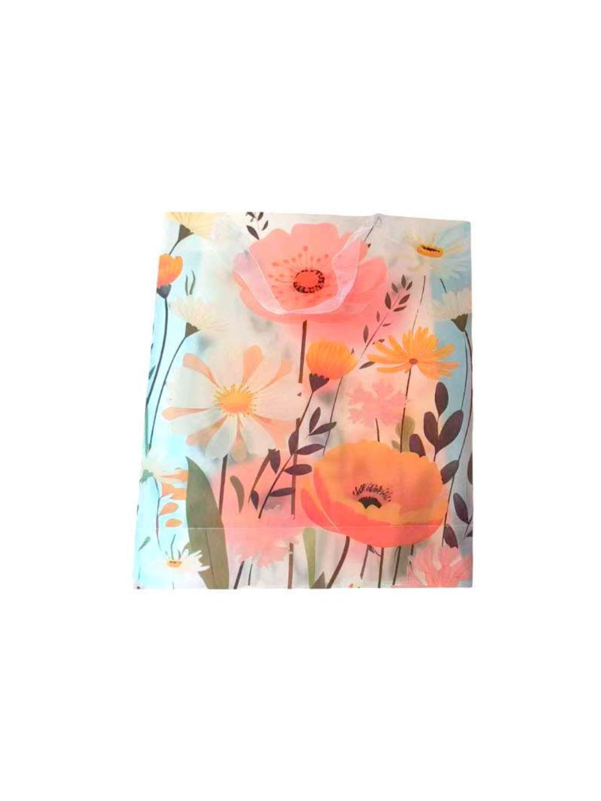 \фото\120802 1.jpg