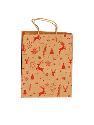 Пакет крафтовый "Подари", 16*22*8 см (XMASGB972)