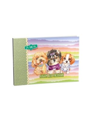 Альбом для рисования 24л. на скобе