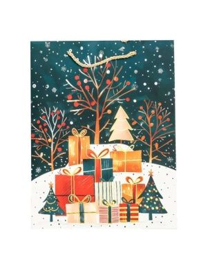 Пакет подарочный "Твой подарок", 32*26*10 см (XMASGB365)