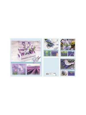 Тетрадь общая (скоба), ф.170х205мм, клетка, 96л., 4+0, СЛ, серия Природа 13 Лаванда